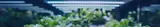 solarlight-blog-cover.webp